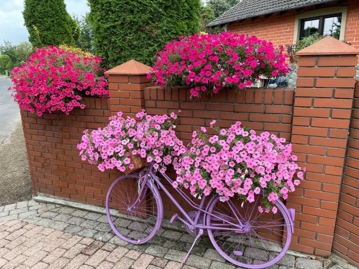 Hortus Apartament Z Klimatyzacja Boleslawiec  Exterior foto