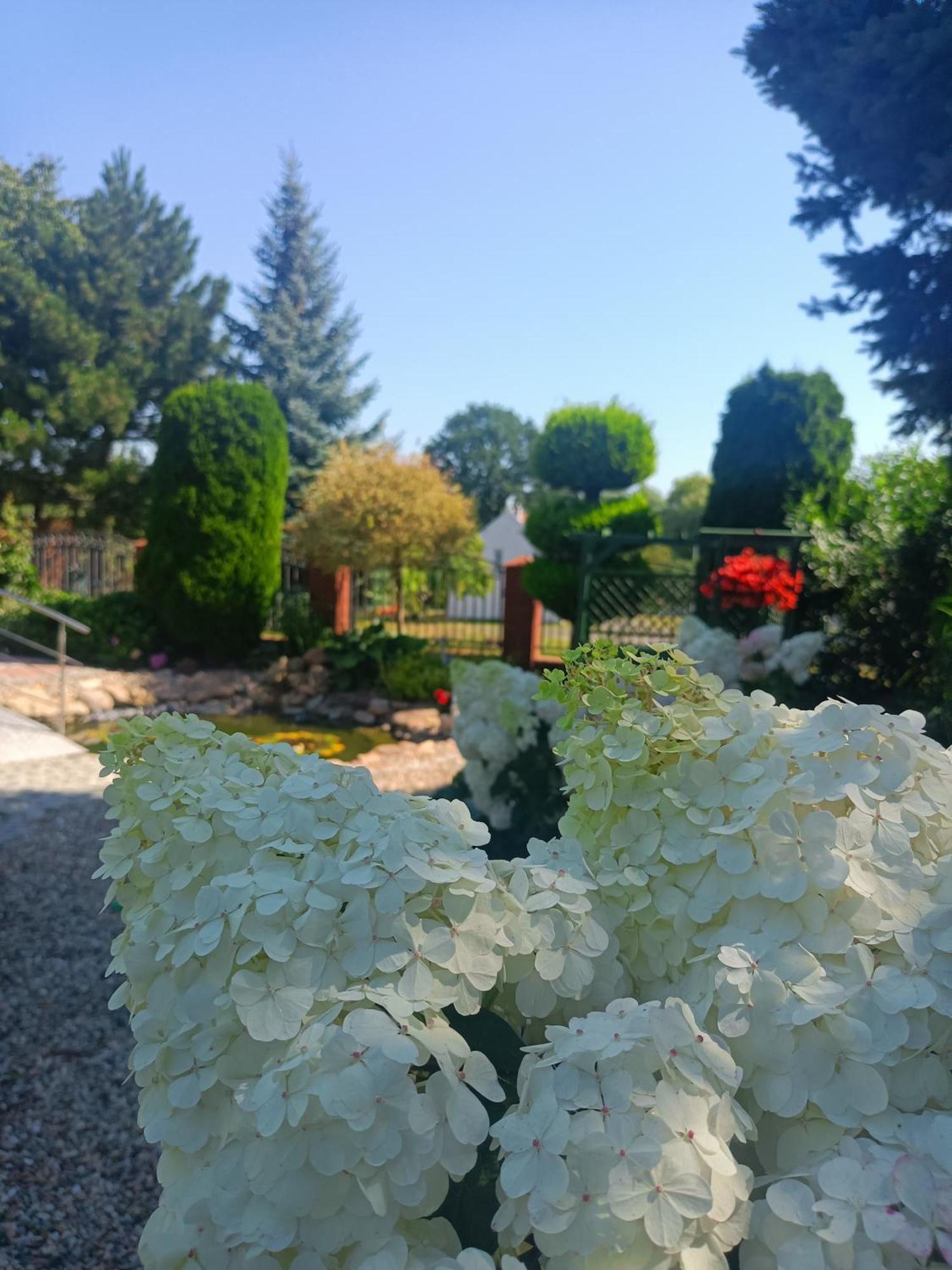 Hortus Apartament Z Klimatyzacja Boleslawiec  Exterior foto