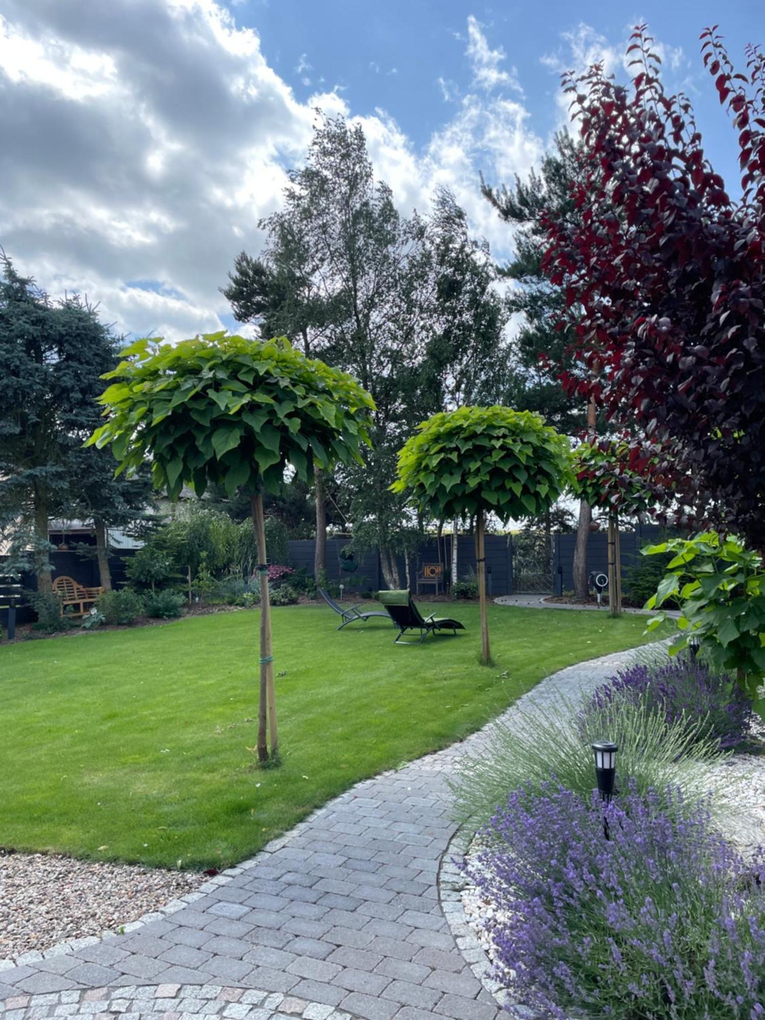 Hortus Apartament Z Klimatyzacja Boleslawiec  Exterior foto